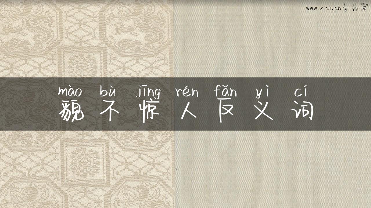 貌不惊人反义词