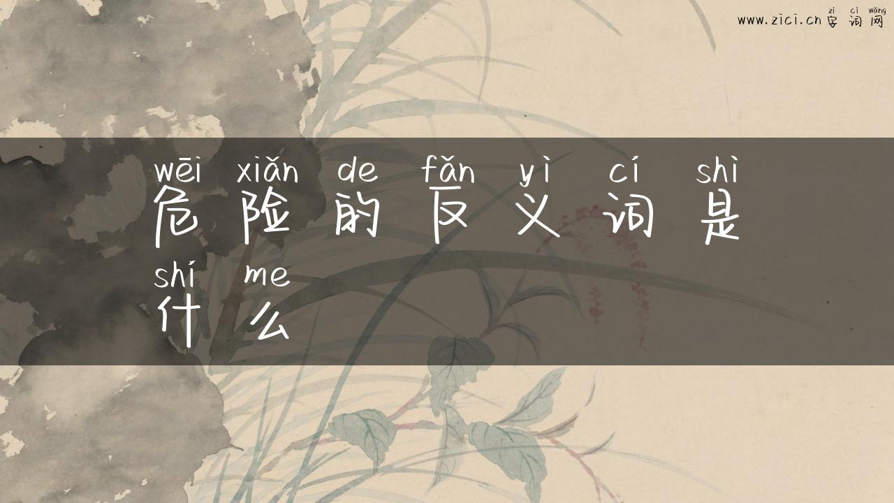 危险的反义词是什么