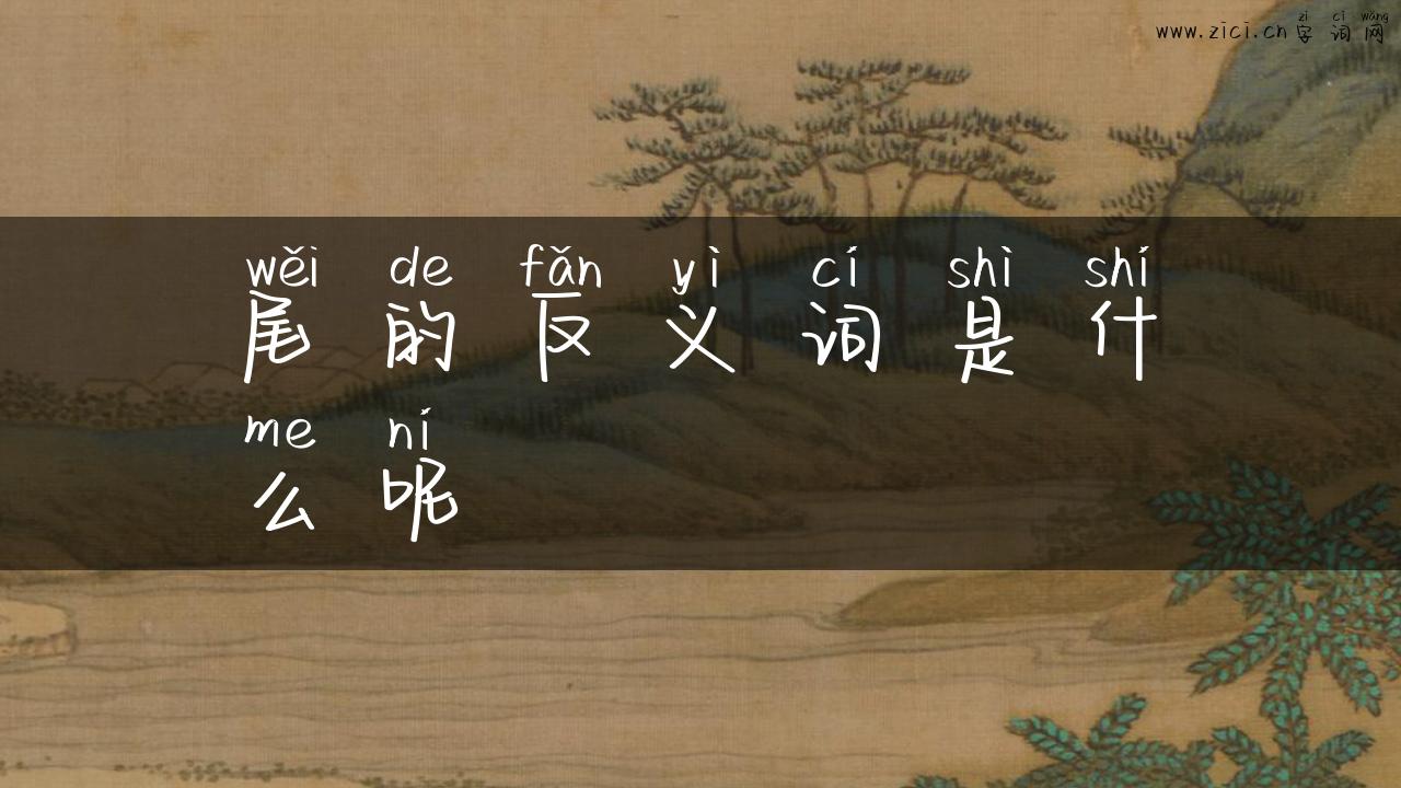 尾的反义词是什么呢