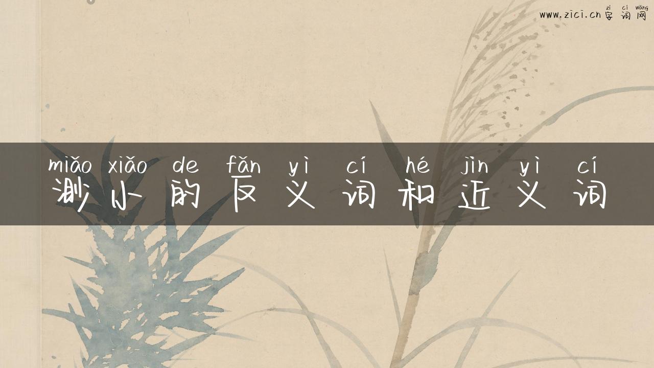 渺小的反义词和近义词