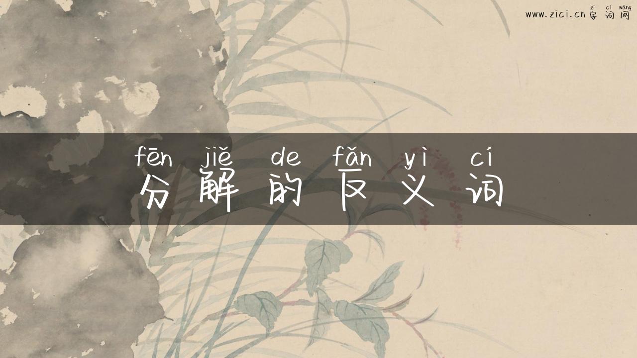 分解的反义词