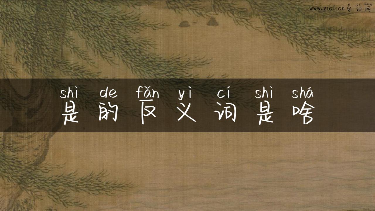 是的反义词是啥