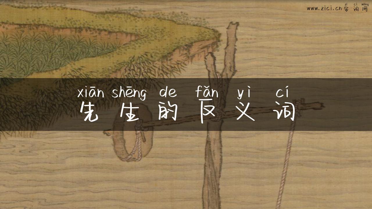 先生的反义词