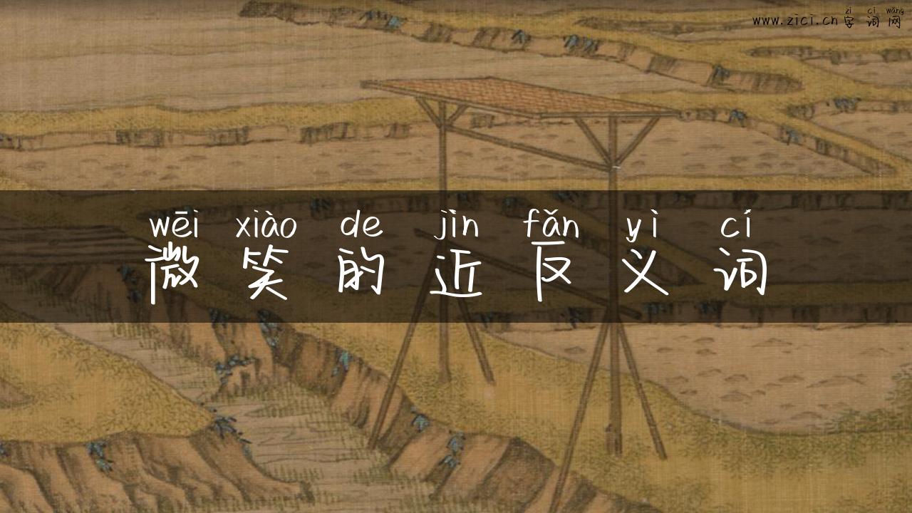 微笑的近反义词