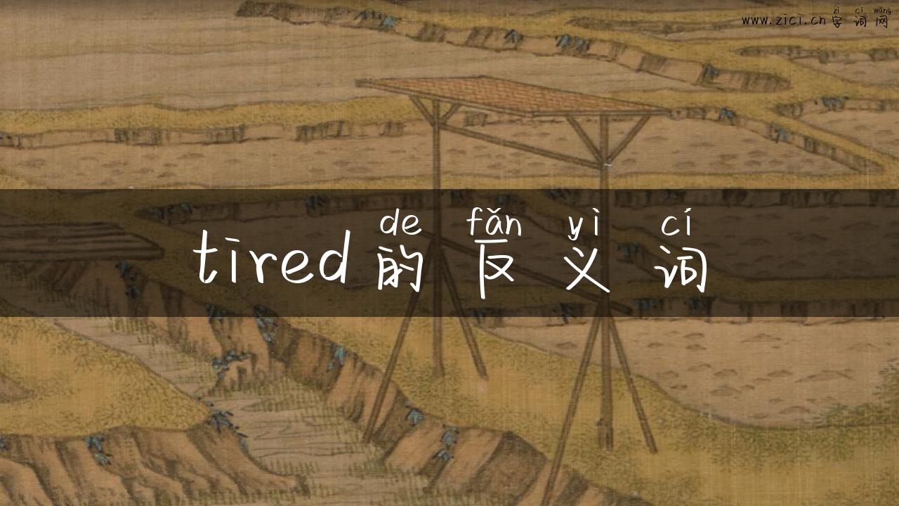 tired的反义词
