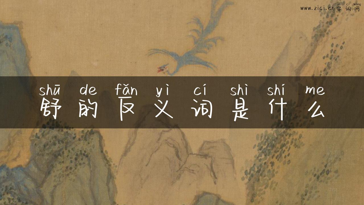 舒的反义词是什么