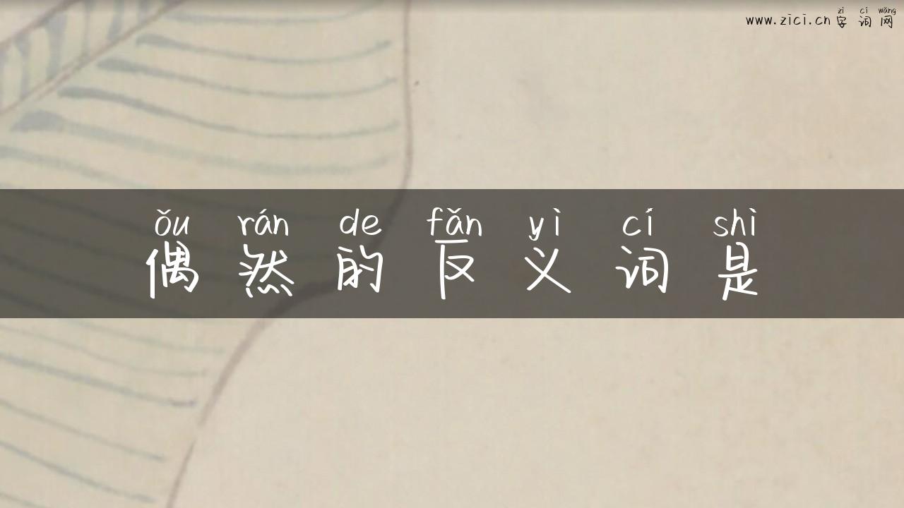 偶然的反义词是