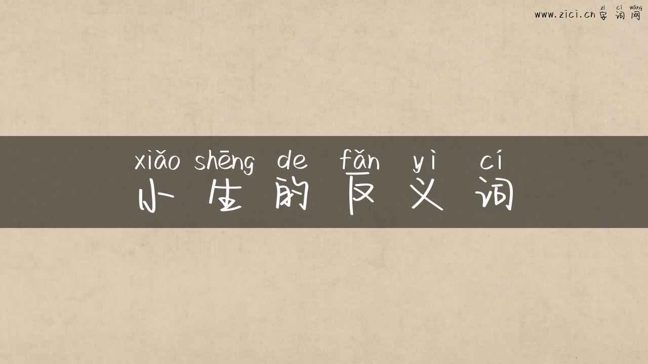 小生的反义词