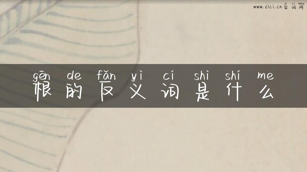 根的反义词是什么