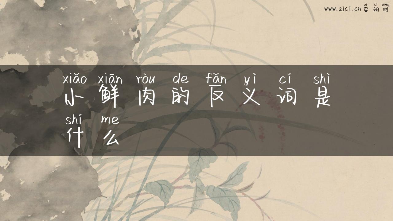 小鲜肉的反义词是什么