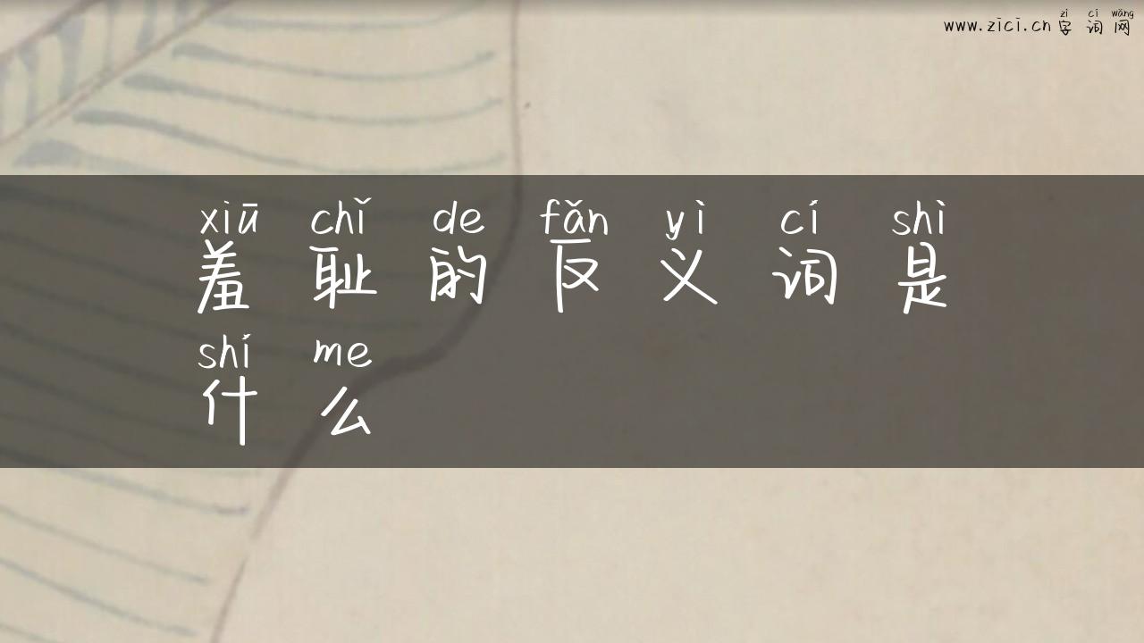 羞耻的反义词是什么
