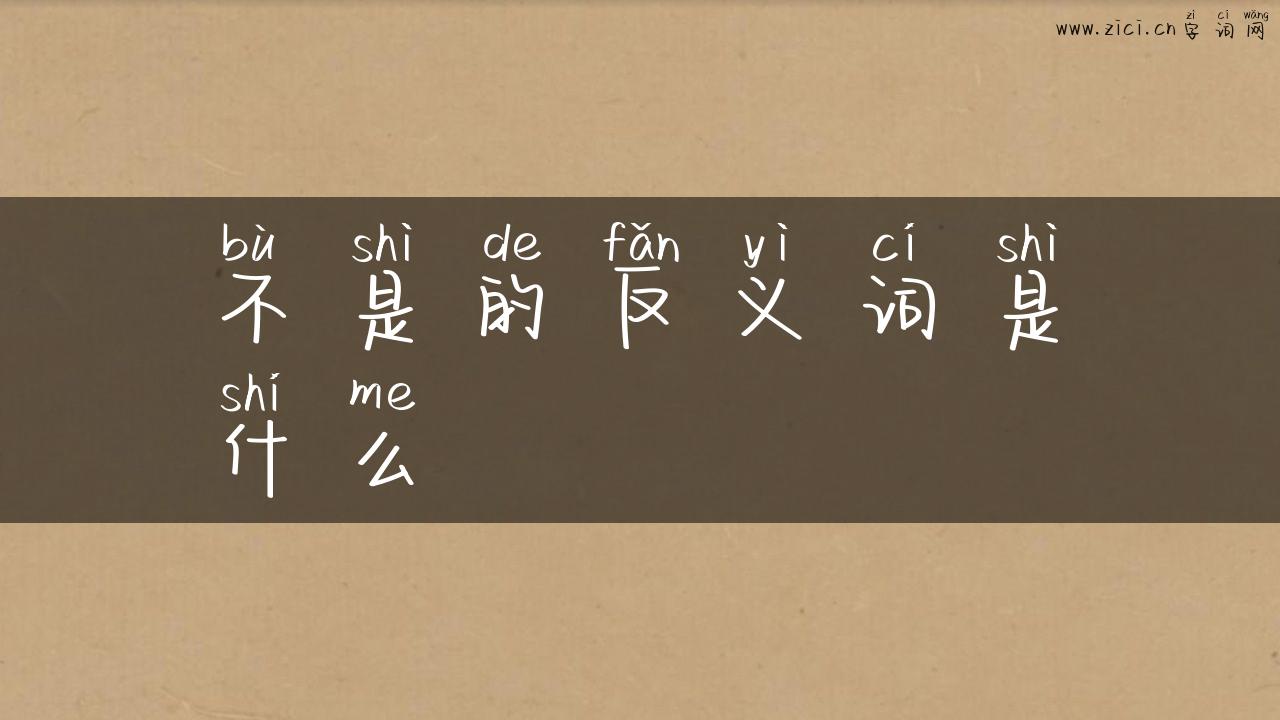 不是的反义词是什么