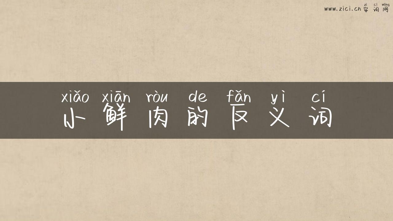 小鲜肉的反义词