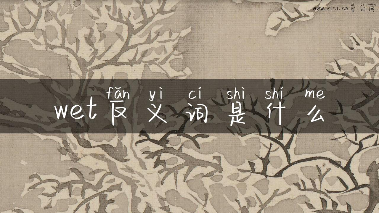 wet反义词是什么