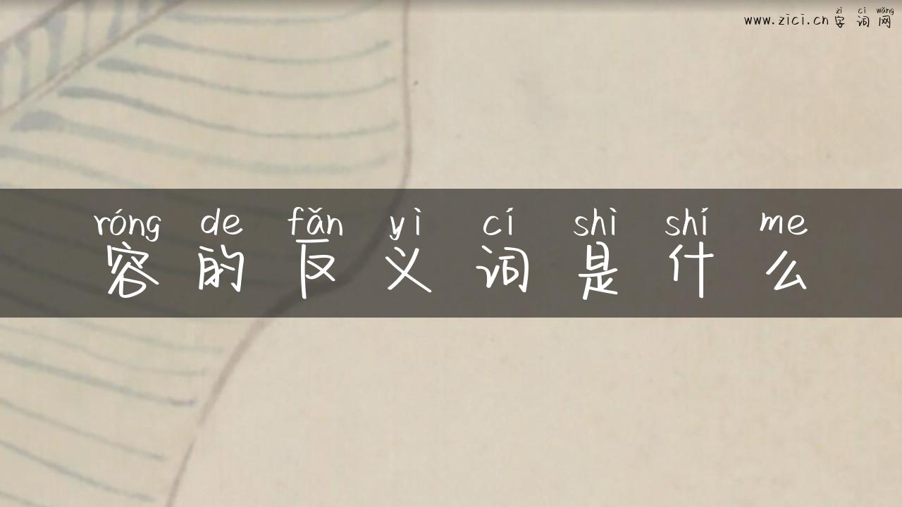 容的反义词是什么
