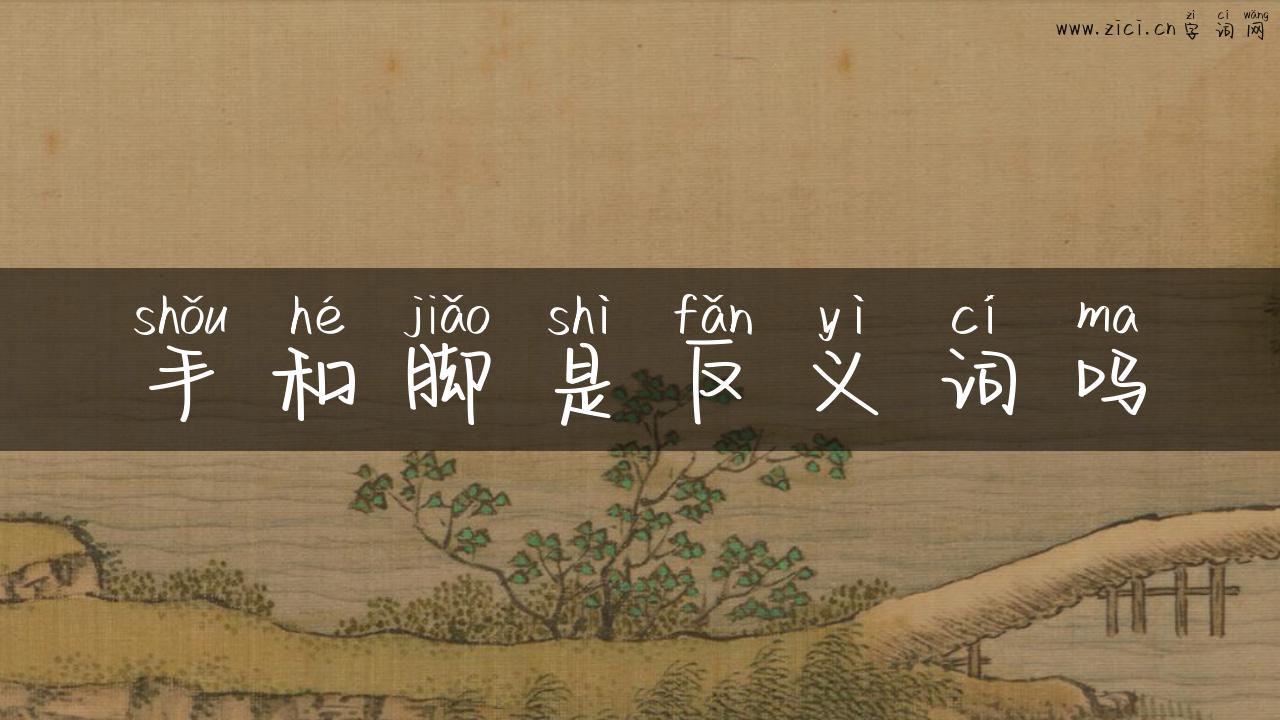 手和脚是反义词吗