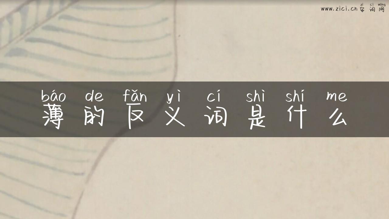薄的反义词是什么