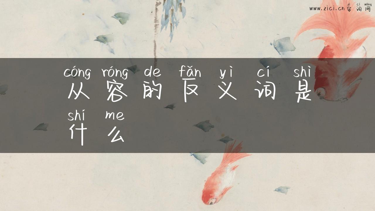 从容的反义词是什么