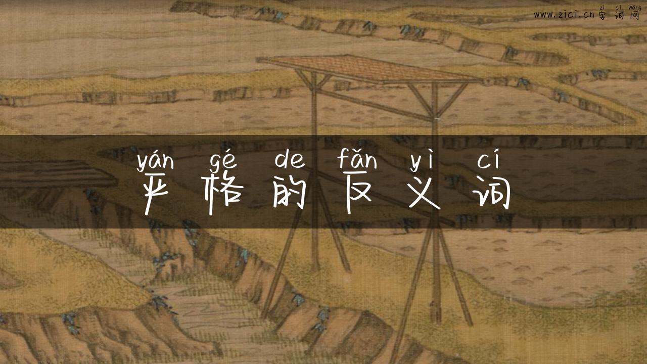 严格的反义词