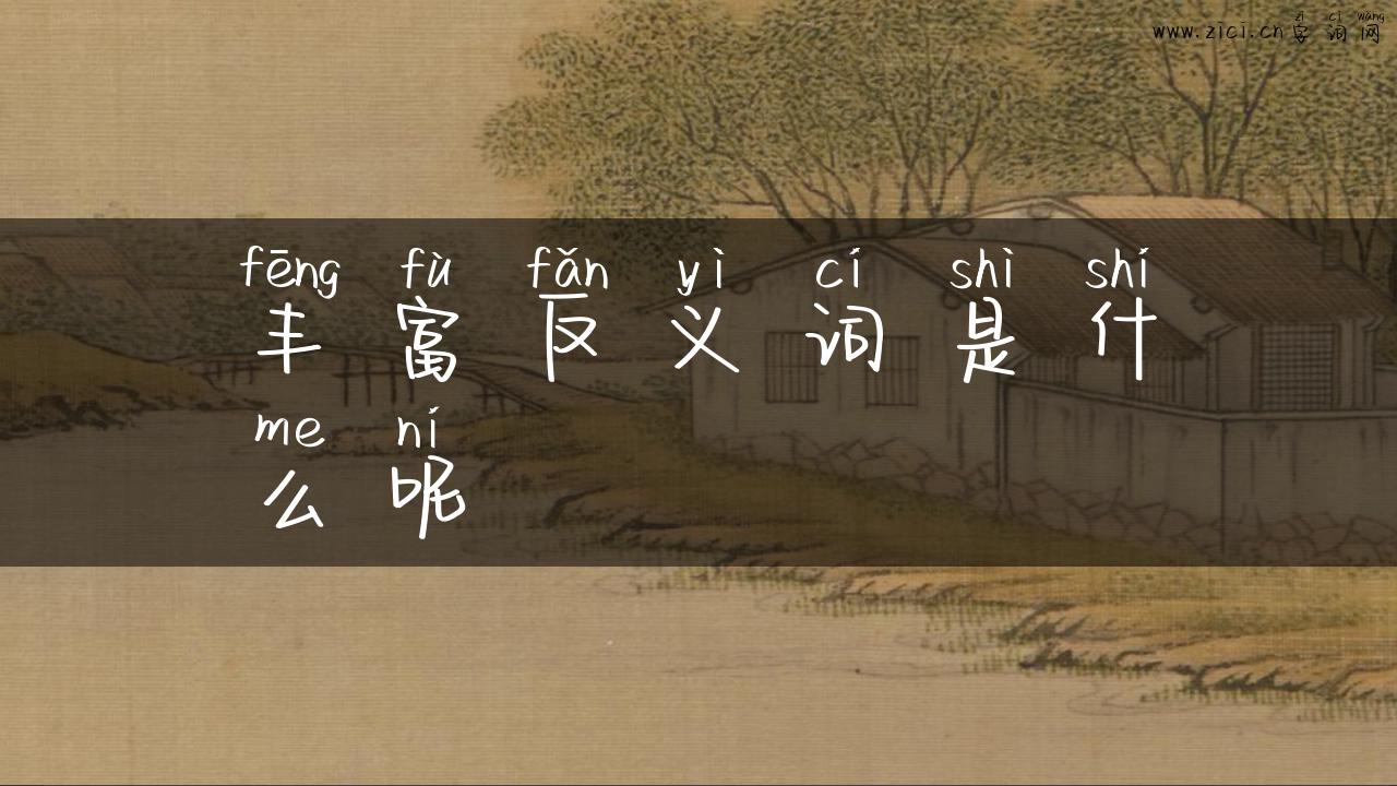 丰富反义词是什么呢