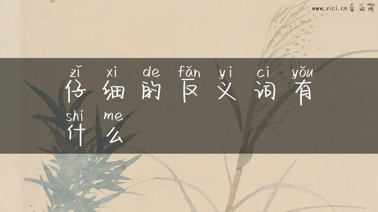 仔细的反义词有什么