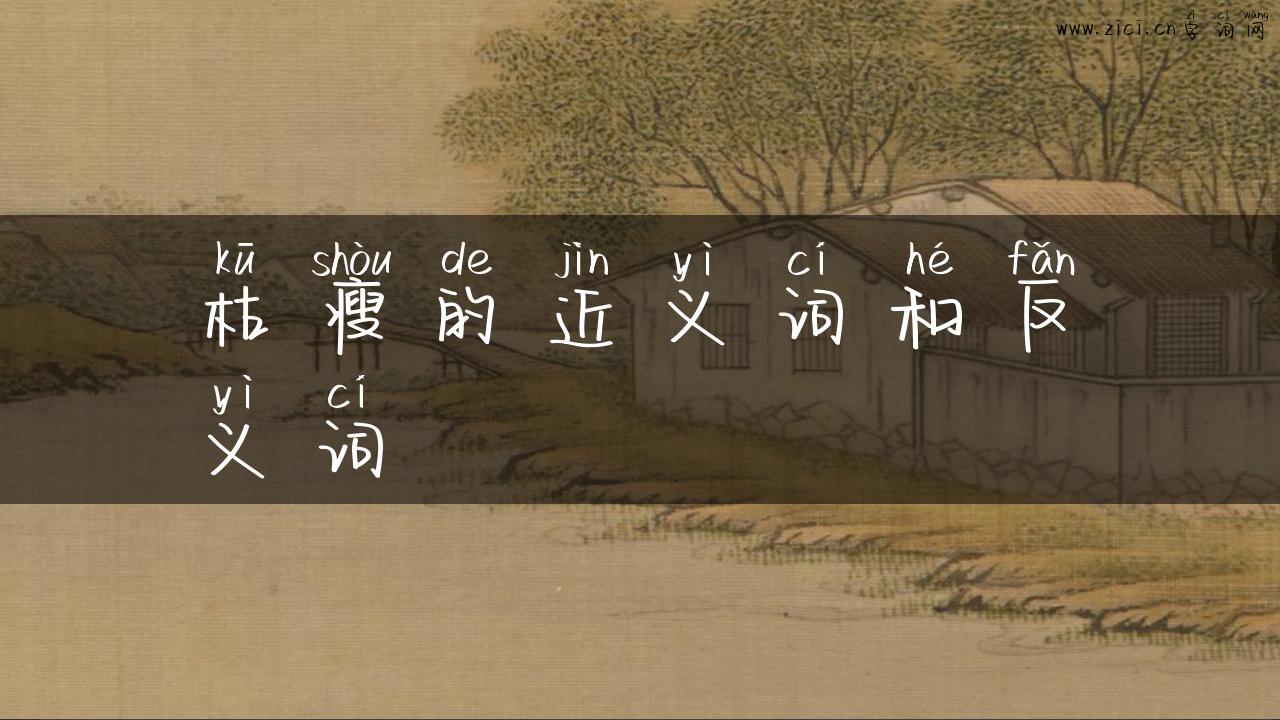枯瘦的近义词和反义词
