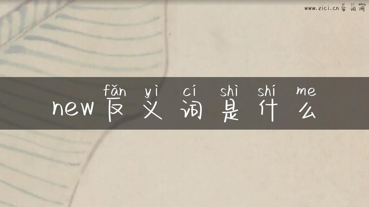 new反义词是什么
