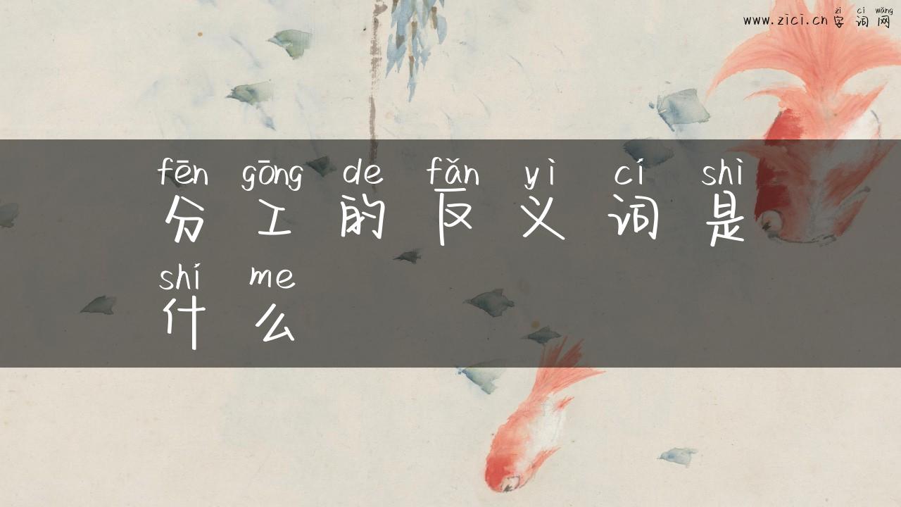 分工的反义词是什么