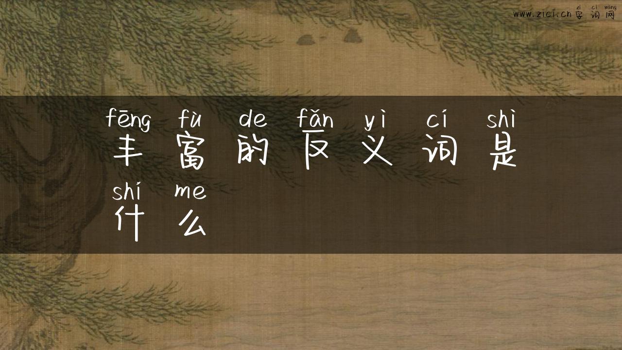 丰富的反义词是什么