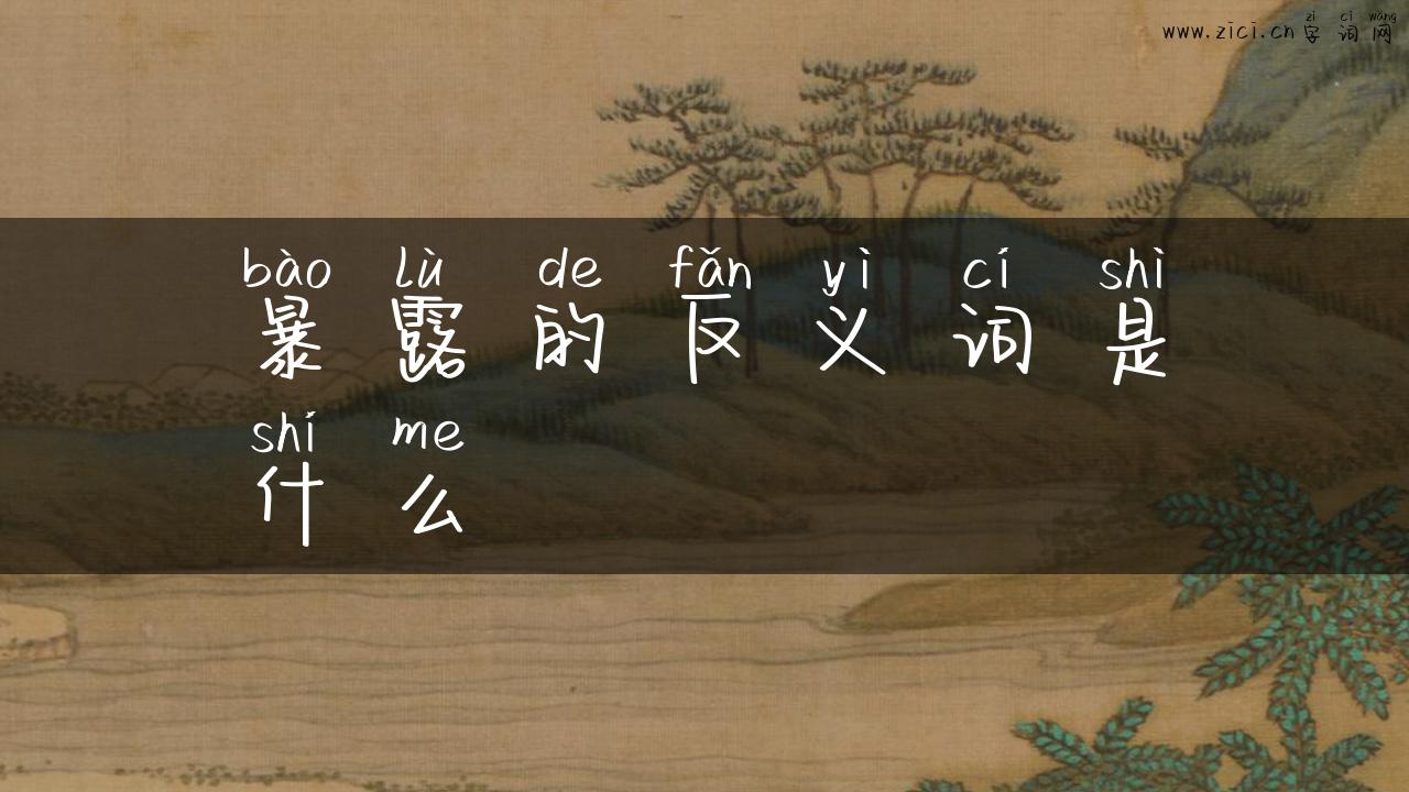 暴露的反义词是什么