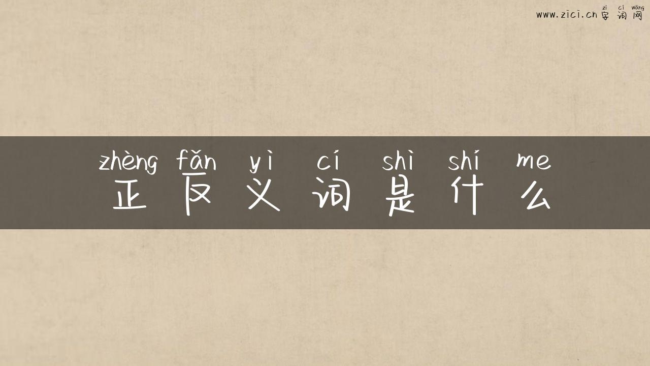 正反义词是什么