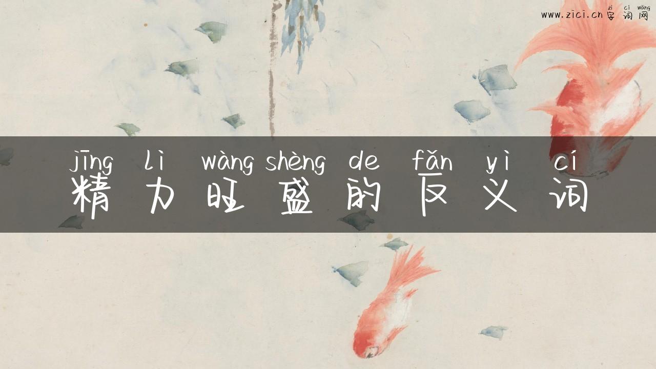 精力旺盛的反义词
