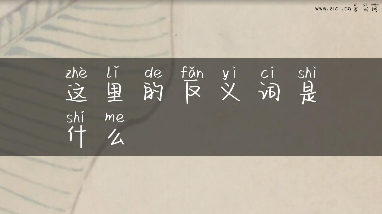 这里的反义词是什么