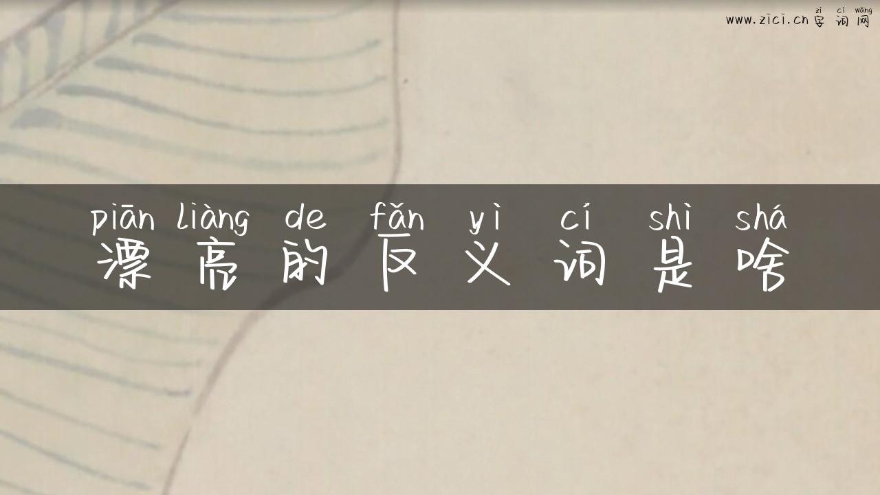 漂亮的反义词是啥