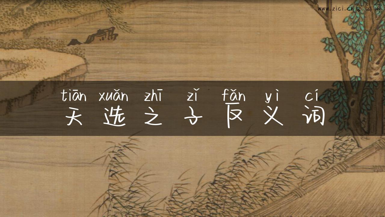 天选之子反义词