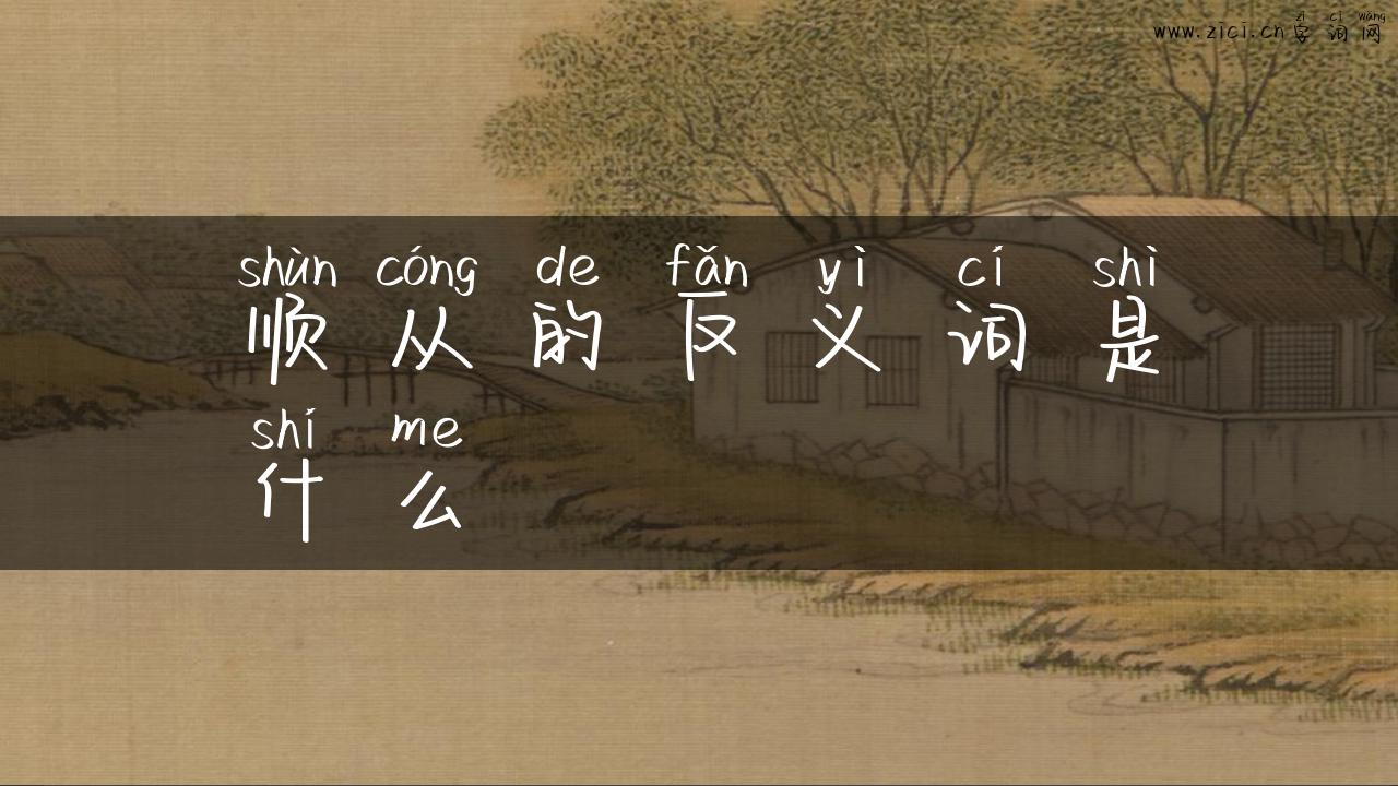 顺从的反义词是什么