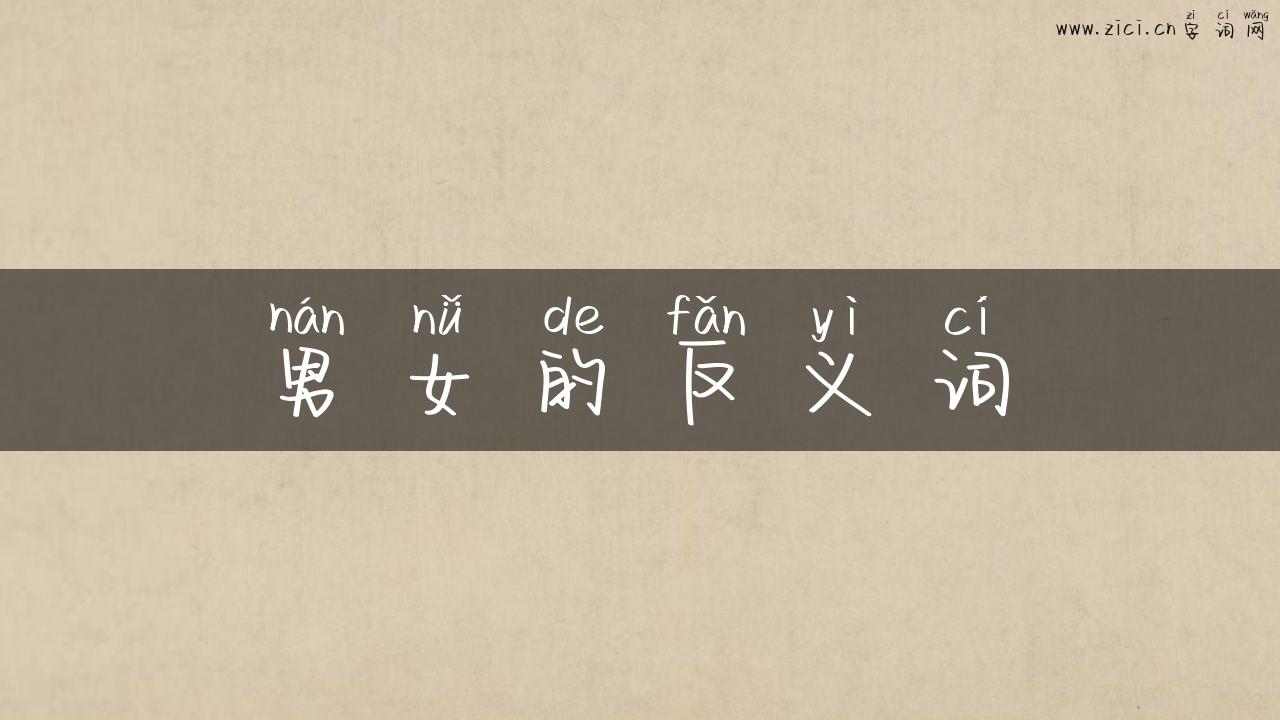 男女的反义词