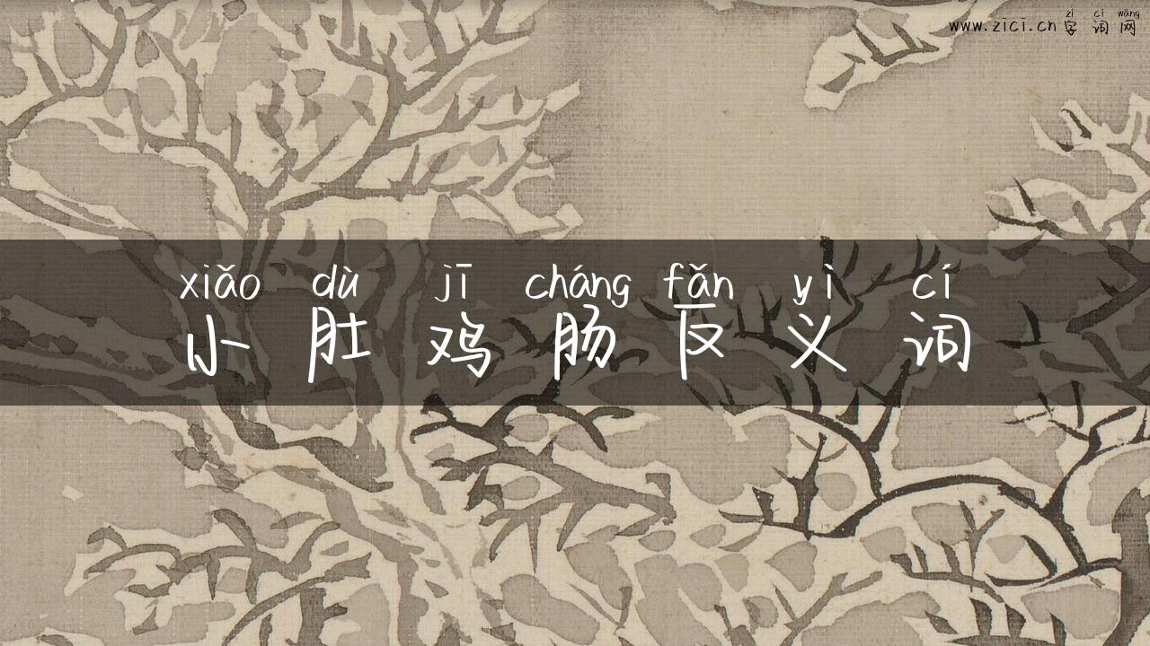 小肚鸡肠反义词