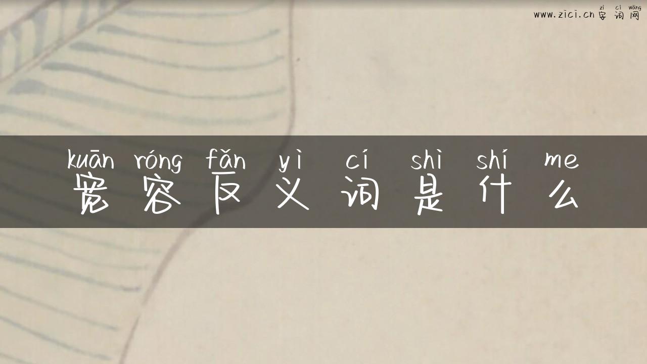 宽容反义词是什么