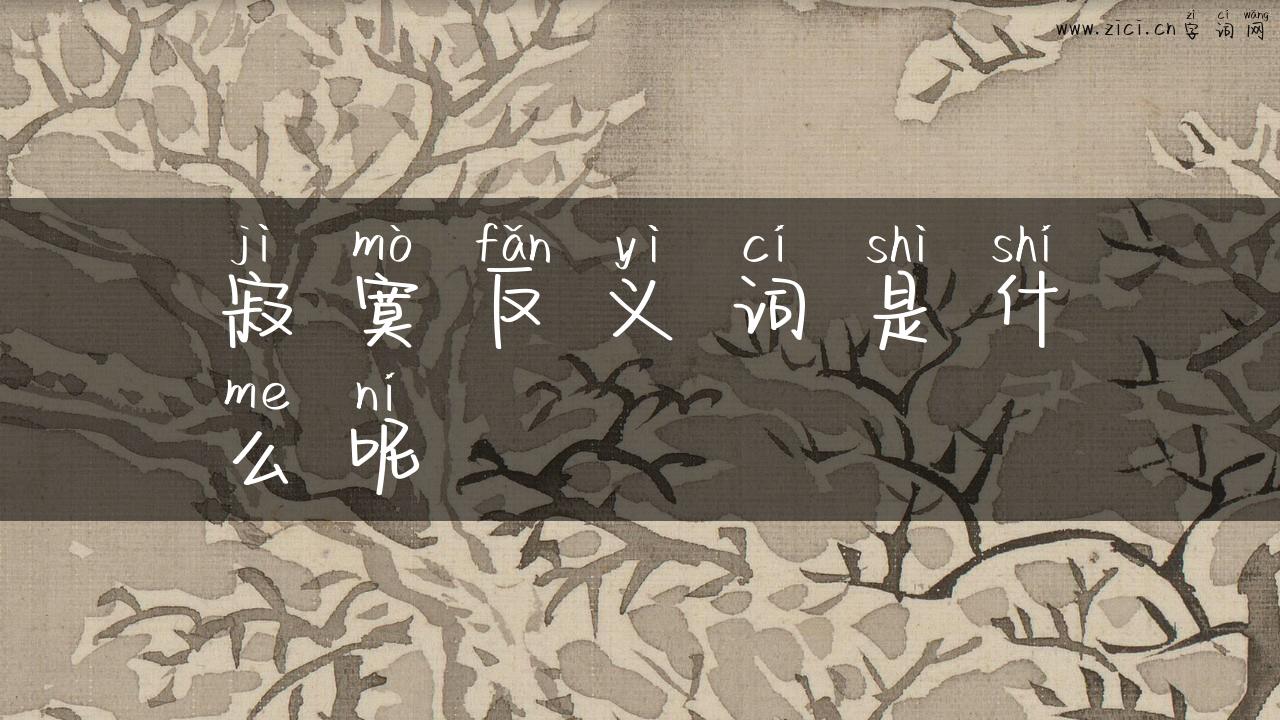 寂寞反义词是什么呢