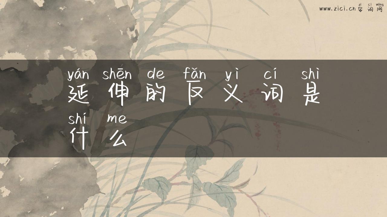 延伸的反义词是什么