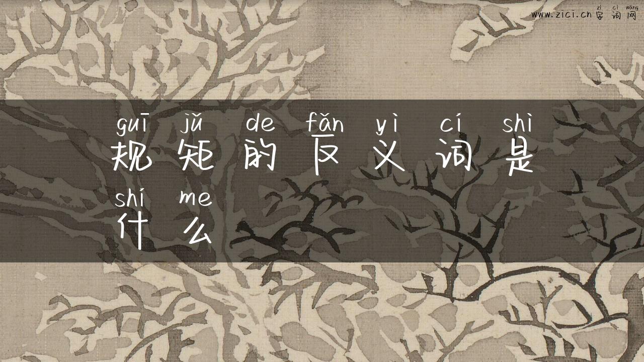 规矩的反义词是什么