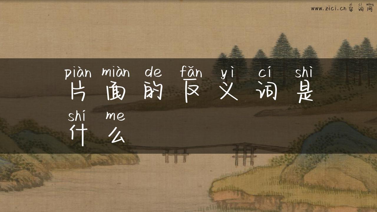 片面的反义词是什么