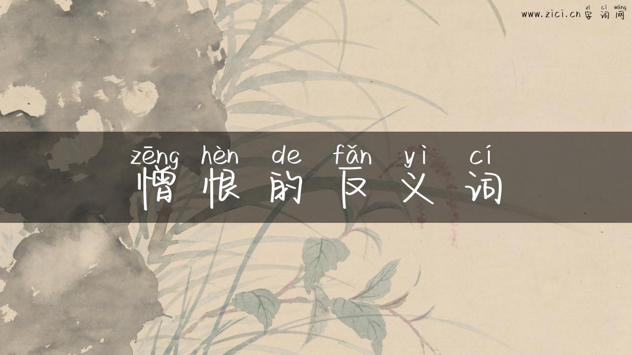 憎恨的反义词