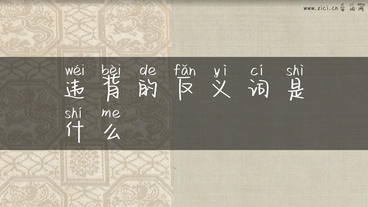 违背的反义词是什么
