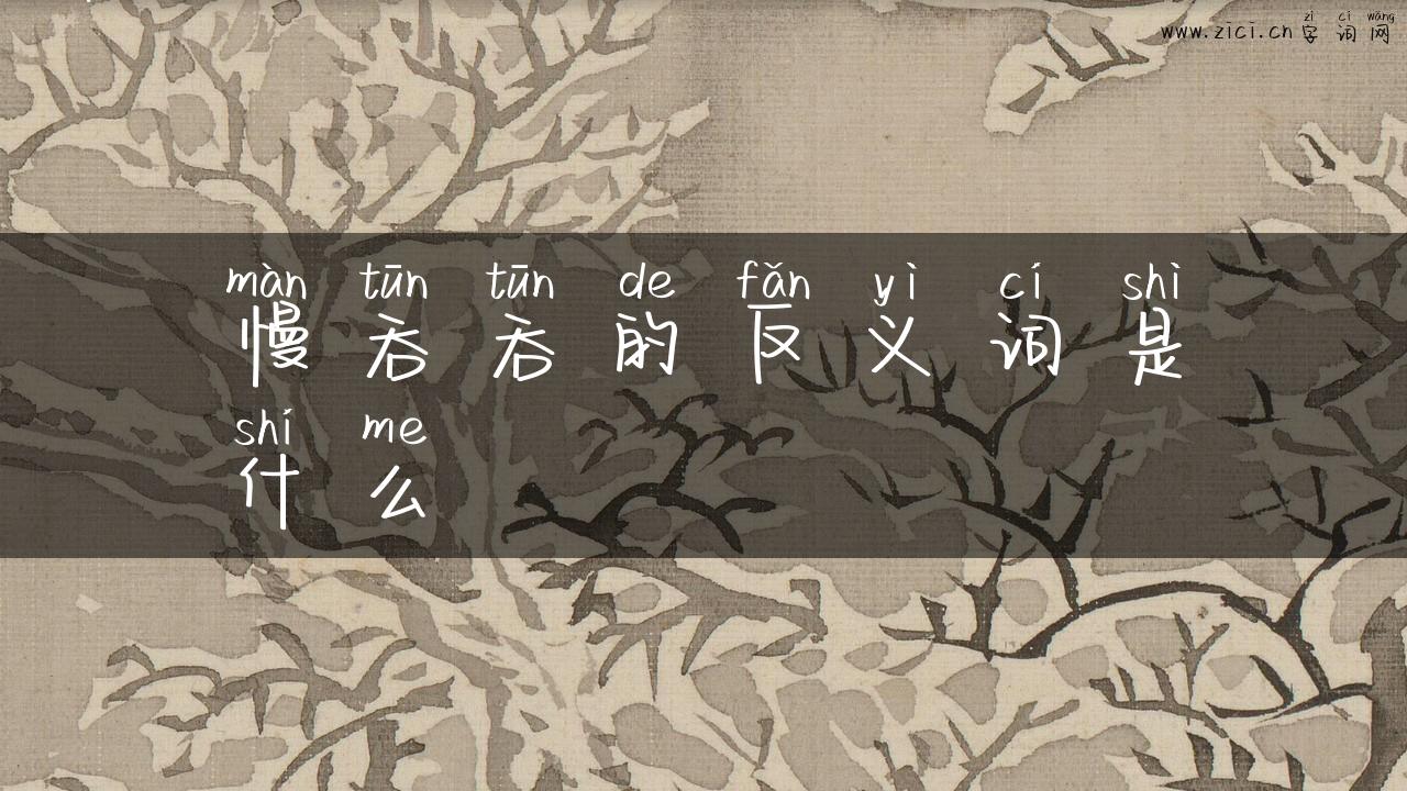 慢吞吞的反义词是什么