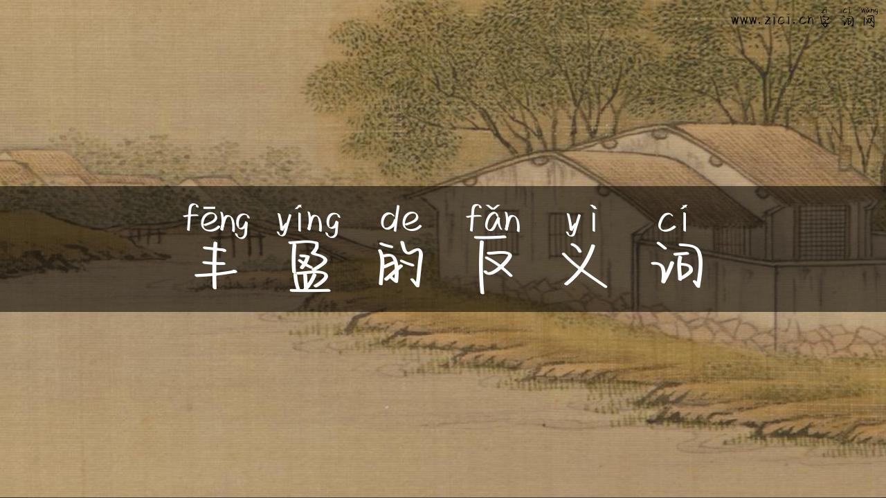 丰盈的反义词