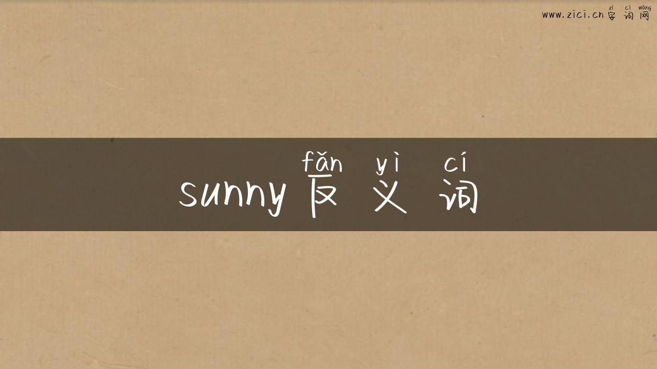 sunny反义词