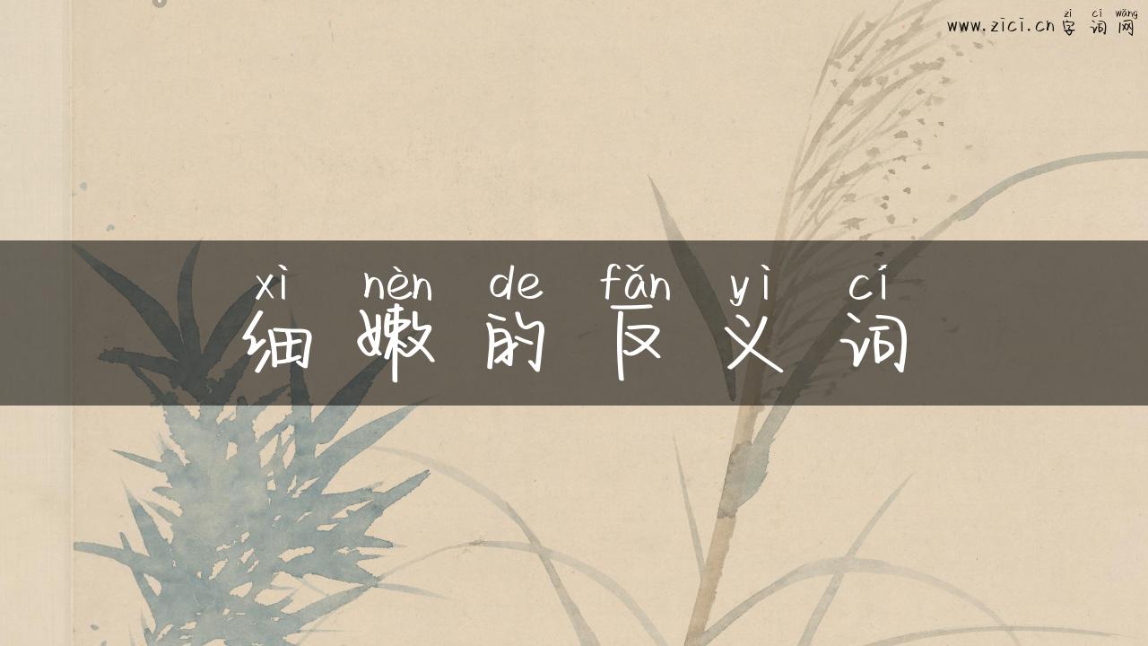 细嫩的反义词