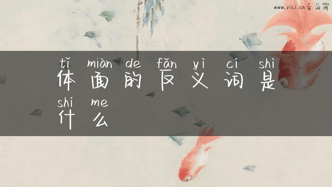 体面的反义词是什么